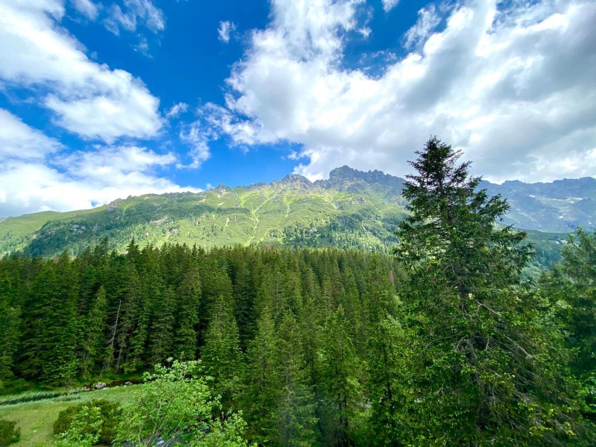 Domki Vika Home i Wataha Home Zakopane Zewnętrze zdjęcie